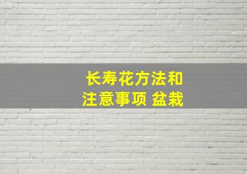 长寿花方法和注意事项 盆栽